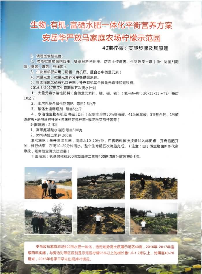 IMG_0006.jpg IMG_0006.jpg