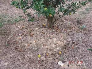 640 (5).jpg 640 (5).jpg