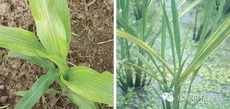 微信圖片_20240616094532.jpg 微信圖片_20240616094532.jpg