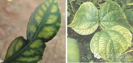 微信圖片_20240616094532.jpg 微信圖片_20240616094532.jpg