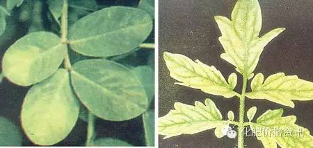 微信圖片_20240616094532.jpg 微信圖片_20240616094532.jpg